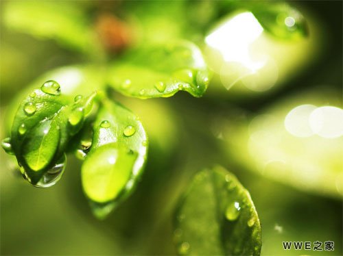 男生青春正能量的qq励志网名大全