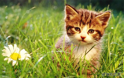 带有珍字的女生网名_带珍字的可爱QQ昵称