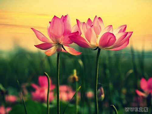 带烟字的古风女生网名_qq网名带烟字伤感颓废