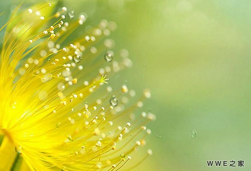 带有死神的霸气QQ网名