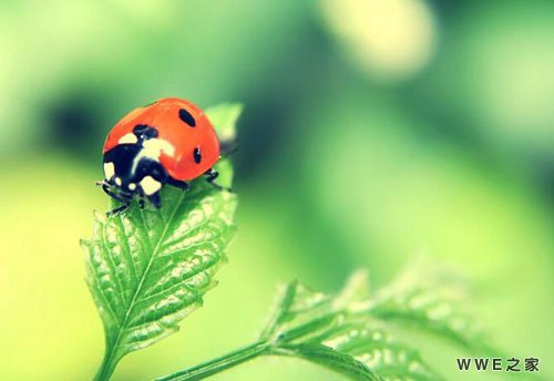 带有阳字的唯美好听qq情侣网名