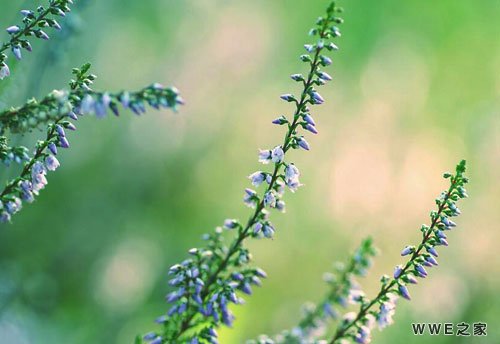 带黄字的唯美伤感qq网名