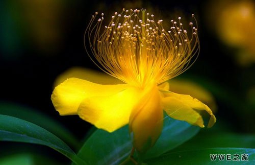 精选奇葩让人笑到喷的搞笑网名大全