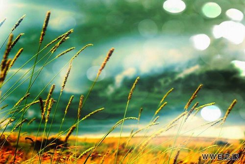 送给单身狗的伤感qq个性网名