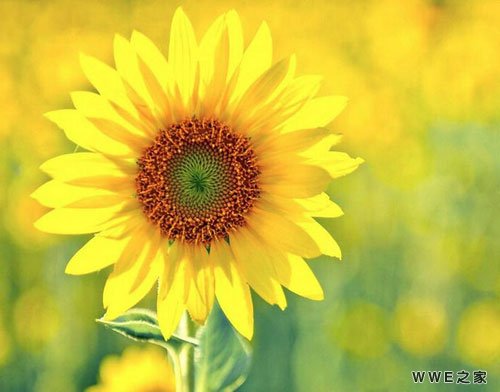 带新字的男生好听qq网名