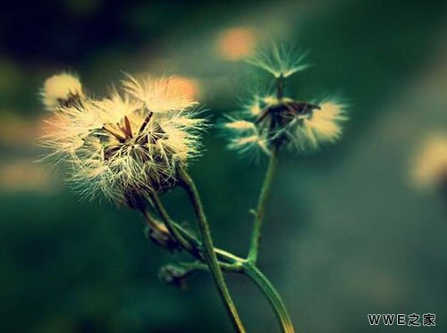 带婧字的女生非主流好听qq网名