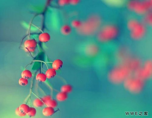 带傲字霸气超拽的男生qq网名