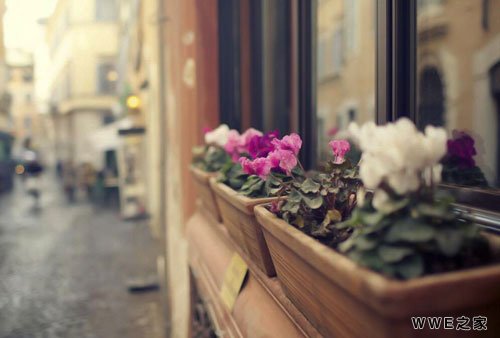 带有桃字的女生古风好听qq网名