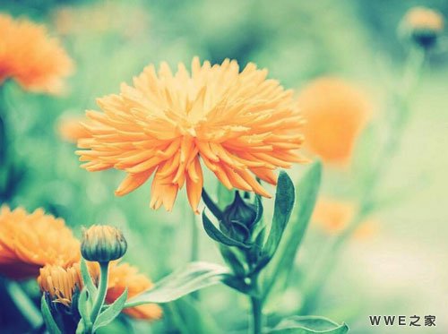 带有评字的霸气qq网名