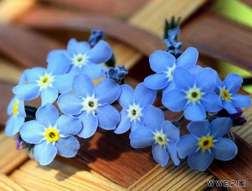 2017年最新qq情侣简短个性网名