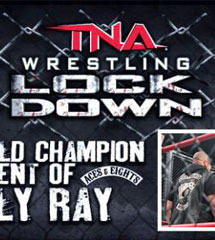 TNA Lockdown 2013年3月12日