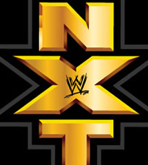 <b>WWE2013年11月7日【NXT最新赛事】</b>