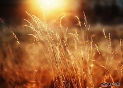 好听带婷字有诗意的网名 带婷字的女生可爱网名