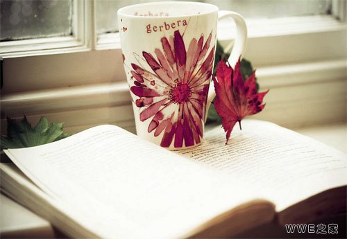 带苑字的女生qq网名