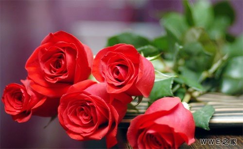 唯美带暖字的情侣网名精选