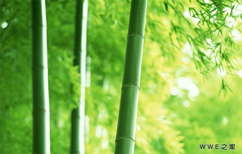 非主流带猪字的qq情侣个性网名