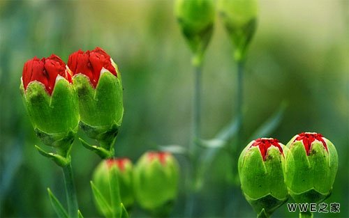 非主流带柒字的好听个性qq网名