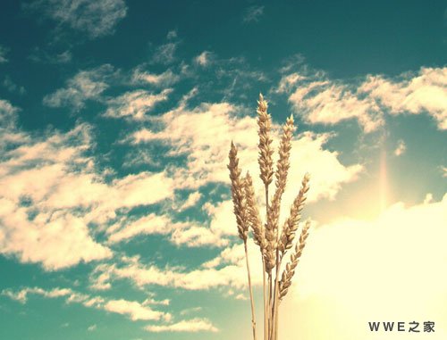 带依字的唯美可爱女生网名