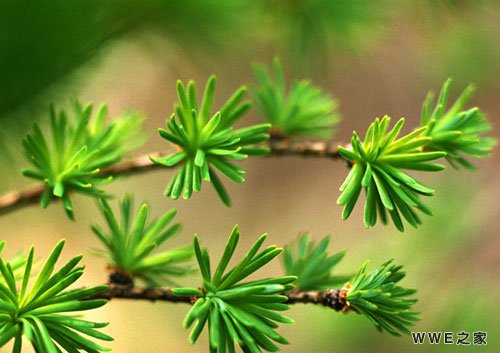 带有夜字的唯美伤感个性网名