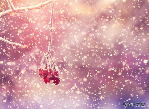 带雪字的好听女生网名_带雪字的网名唯美优雅