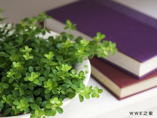 霸气超拽带李字的网名