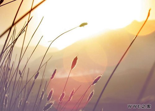 带熊字的可爱唯美网名