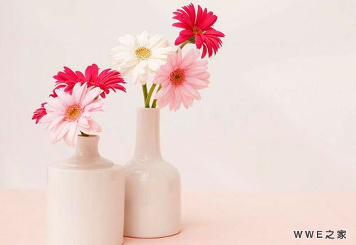 带有龙字的两个字霸气qq网名