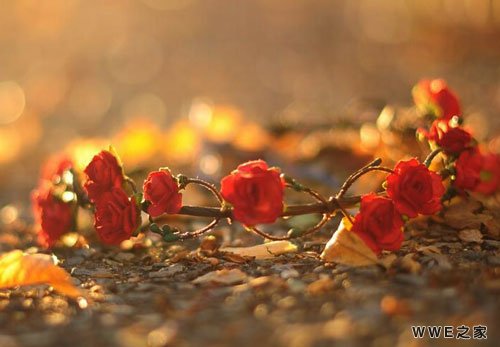 带有富字的男生qq网名