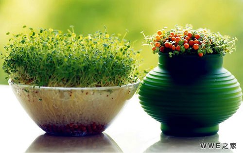 唯美伤感的三个字qq网名