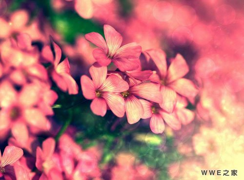 带有保字的男生qq网名