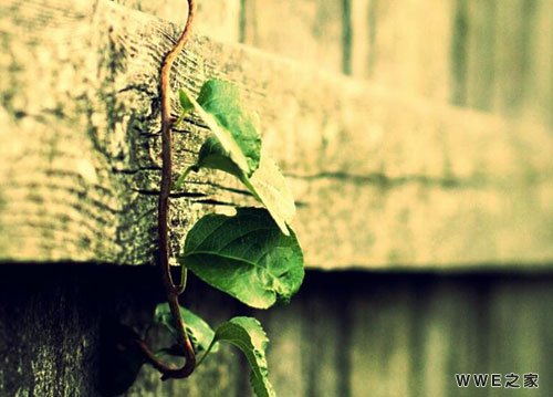 男生带逸字的好听qq网名