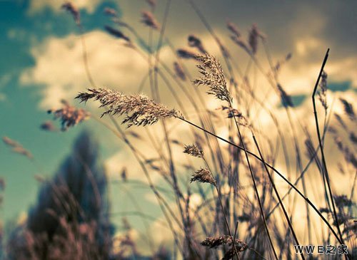 带有贺字的男生qq个性网名