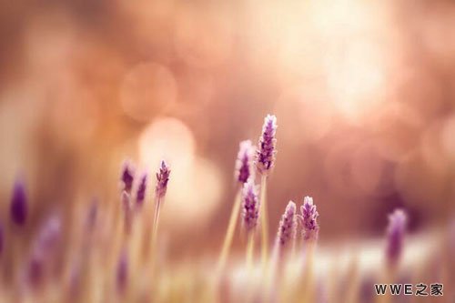 带有睿字的男生qq个性网名