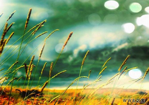 带璇字的女生霸气qq网名