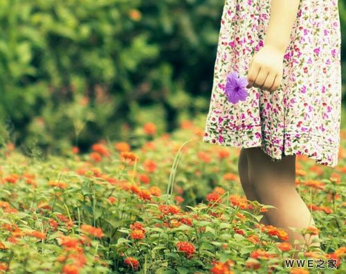 七个字有诗意的女生伤感网名