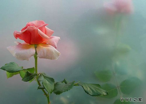 伤感唯美的女生非主流qq网名