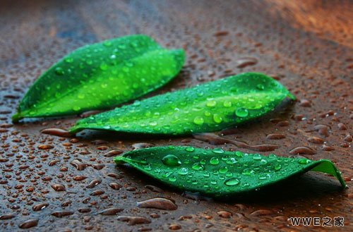 女生唯美幸福的非主流qq网名