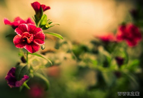 带有易字的男生古风qq网名