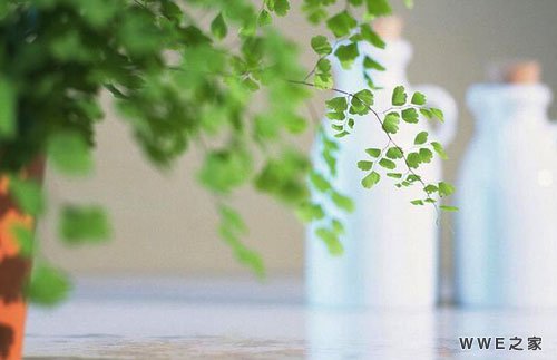 带万字的四个字古风qq网名