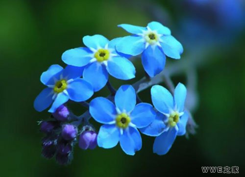 带有希字的女生非主流qq网名