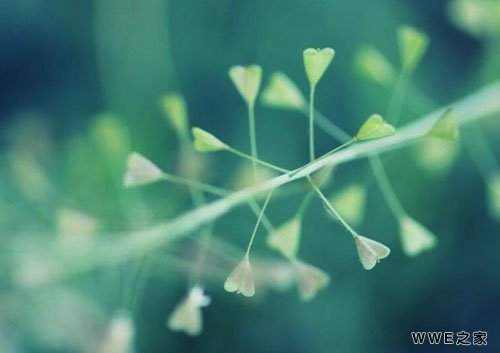 非主流有个性的女生好听扣扣网名