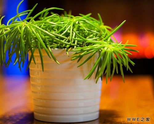 五个字简单又好听的女生qq游戏网名