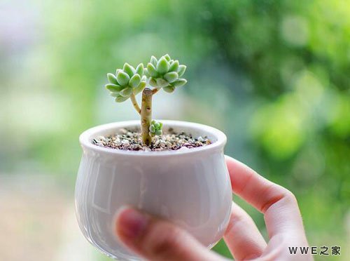 带岚字的五字唯美网名_带有岚字的好听情侣网名