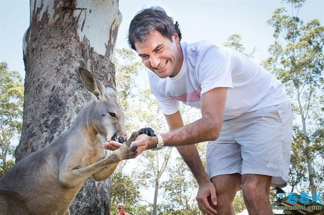 费德勒布里斯班为澳网热身 与考拉袋鼠亲密接触/图