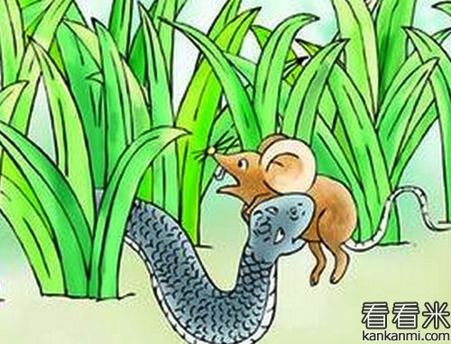 田鼠与蛇的故事