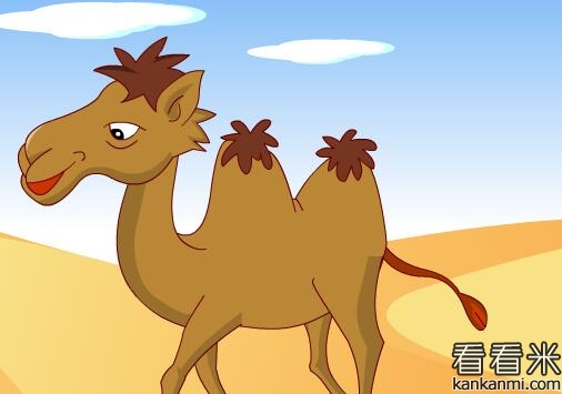骆驼与阿拉伯人