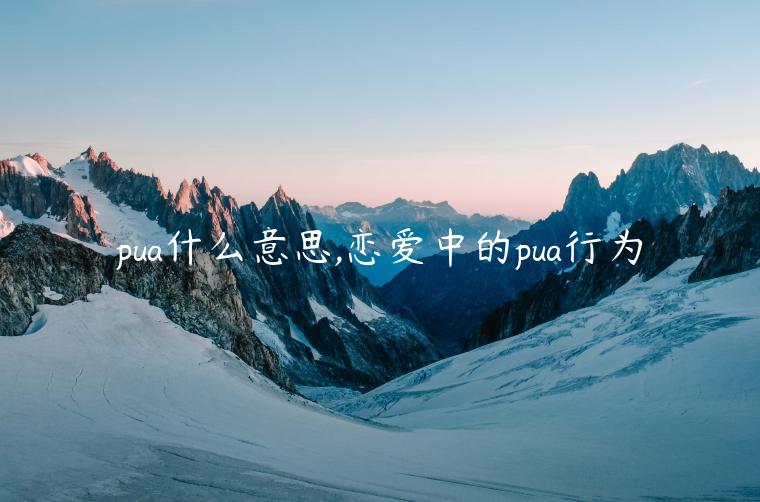 pua什么意思,恋爱中的pua行为